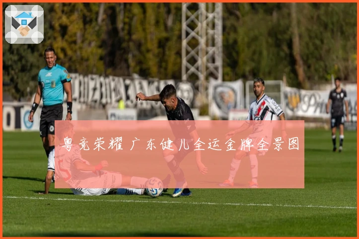 粤竞荣耀 广东健儿全运金牌全景图