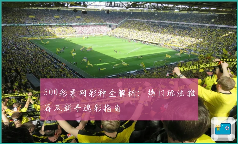 500彩票网彩种全解析：热门玩法推荐及新手选彩指南